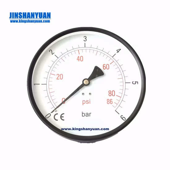 100mm Back Connection Bouden Tube Liquid Filled Pressure Gauge