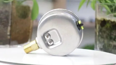 Nailok 6000 Psi Air Pressure Gauge for Gaseous and Liquid Media