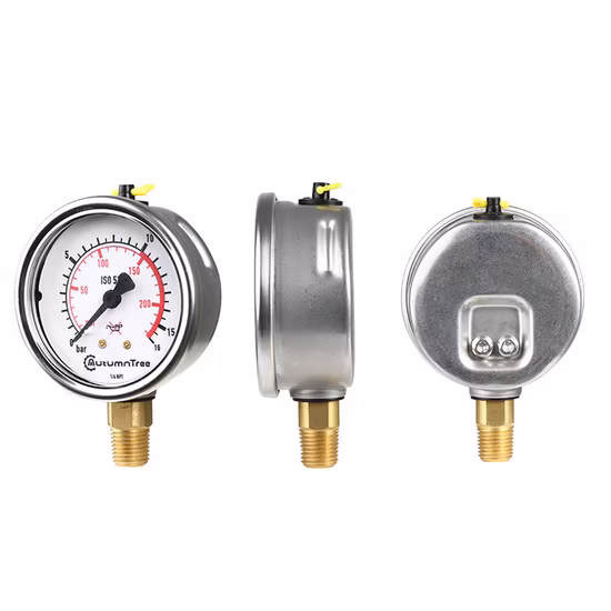 2.5 Inches General Pressure Gauges with Color Dial Gauge